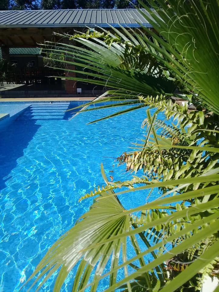 Cabanas Y Boungalow Don Oscar Otel Encarnación Dış mekan fotoğraf